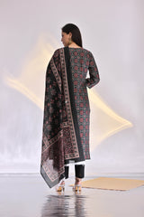 Chanderi Patola V-Neck Suit Set